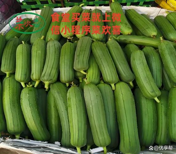 灌口镇菜欢喜蔬菜基地:全链条创新助力学校与工厂食堂降本增效