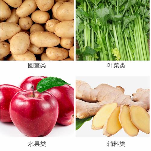 切菜机_mf双头切菜机_蔬菜切菜_厂家直销
