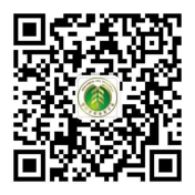 25154b998fa84805b026ec7964e5ee64.png 1.png