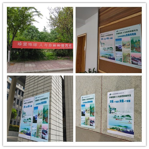 bb050c25b915437cbfbe57ccef61819d.jpg 1.jpg