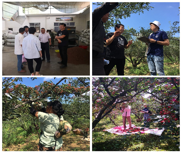 719f6317af0f4c82beac798958e45e8f.png 图片2(2).png