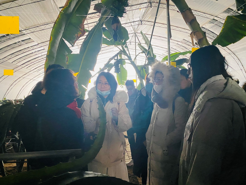 4b611e0de1ba42099927cc9f9e599732.png 2.png