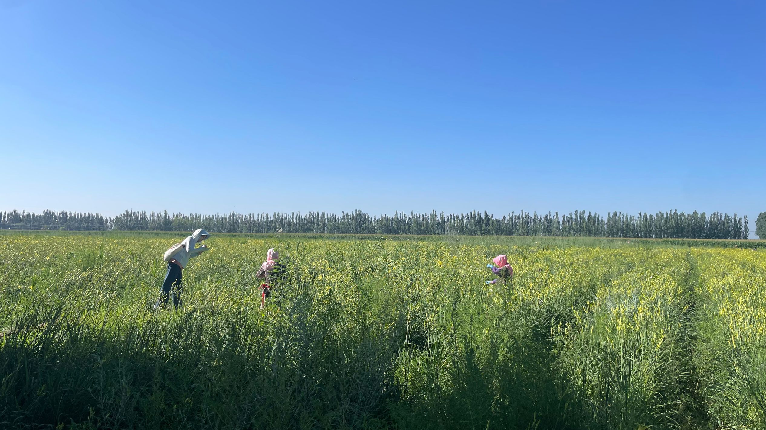 e606f3e3e20b4901a5ba070382617ee2.png e606f3e3e20b4901a5ba070382617ee2.png