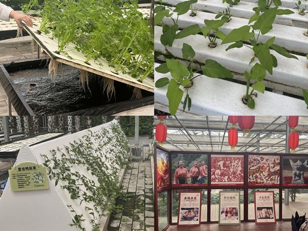 8ddc5f374a644b7db4801c475c2a7e0e.jpg QQ图片20230626085003.jpg