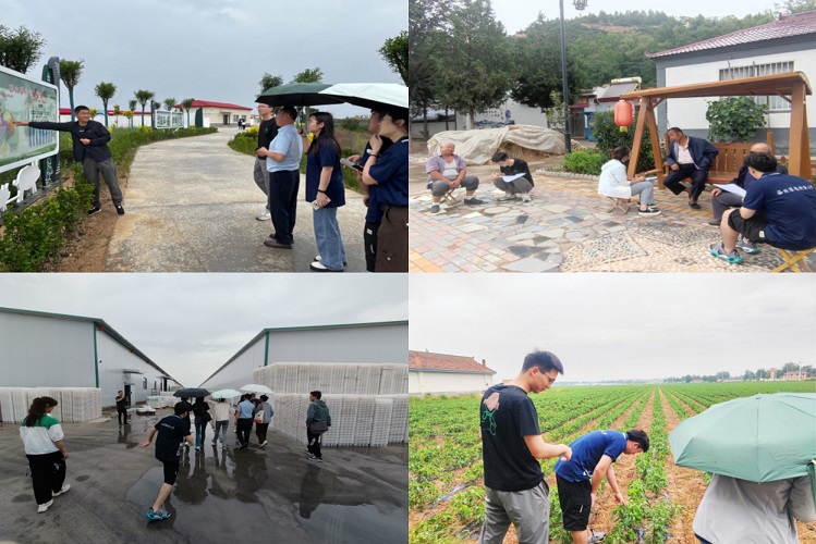 4ff4b4e4e67447fc9655eef13749f854.jpg 1.jpg