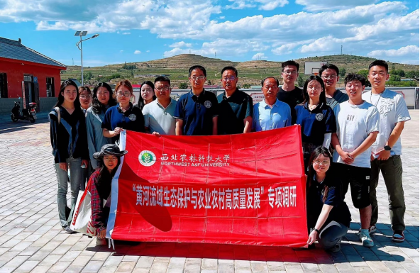 f54856196bb0470cb8ae0d9b5aa9929d.png image.png