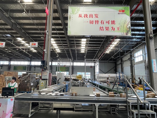 5f8f429606864ec8ad88263a5ddd0107.jpg 2.jpg