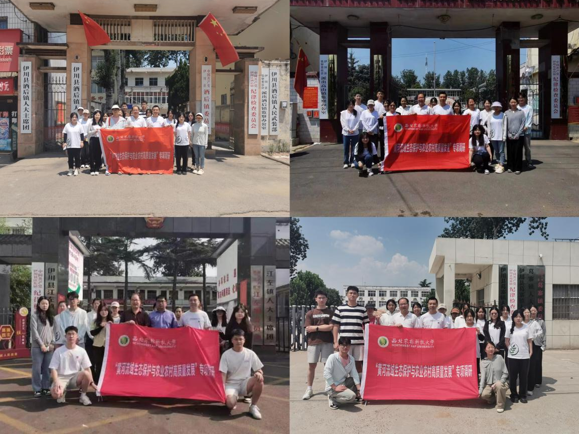 7a541e0d7fd243d8ae92b0f80b8f521b.png 7a541e0d7fd243d8ae92b0f80b8f521b.png