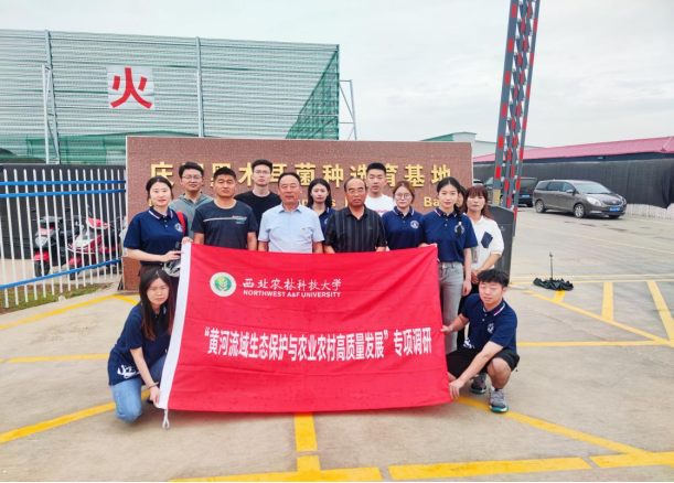 8caa8b6837fc4f98a40f4a803236b3d2.png image.png