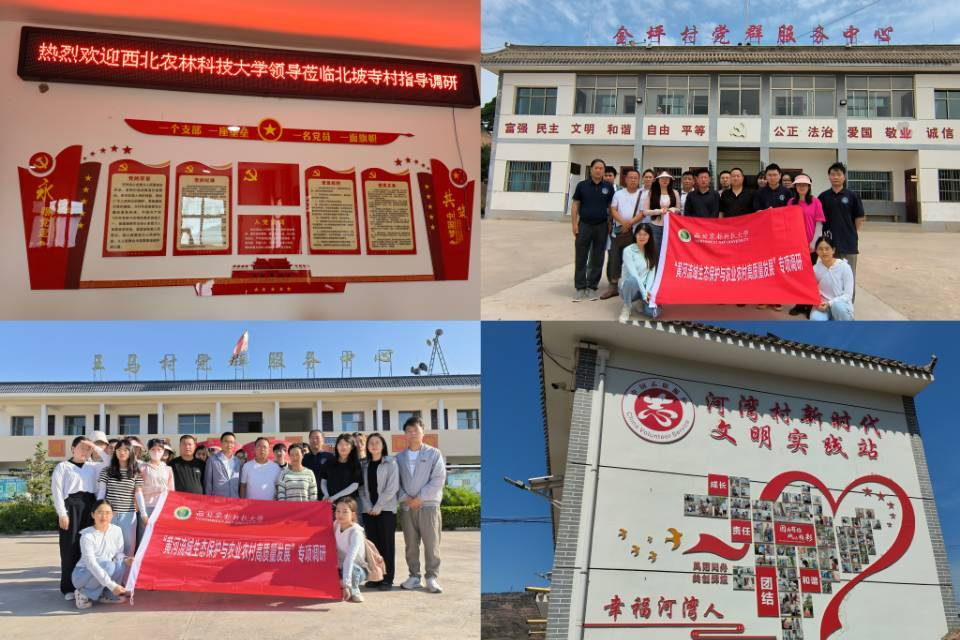 4d7fc0c0d7be4facbceec3b4b461fb5c.png image.png